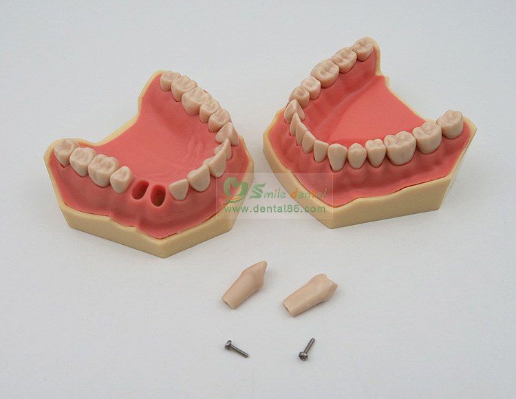 TM-A5 Standard Model, SF Style